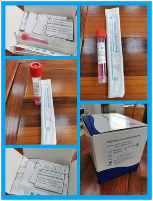10ml Disposable Specimen Collection Tube